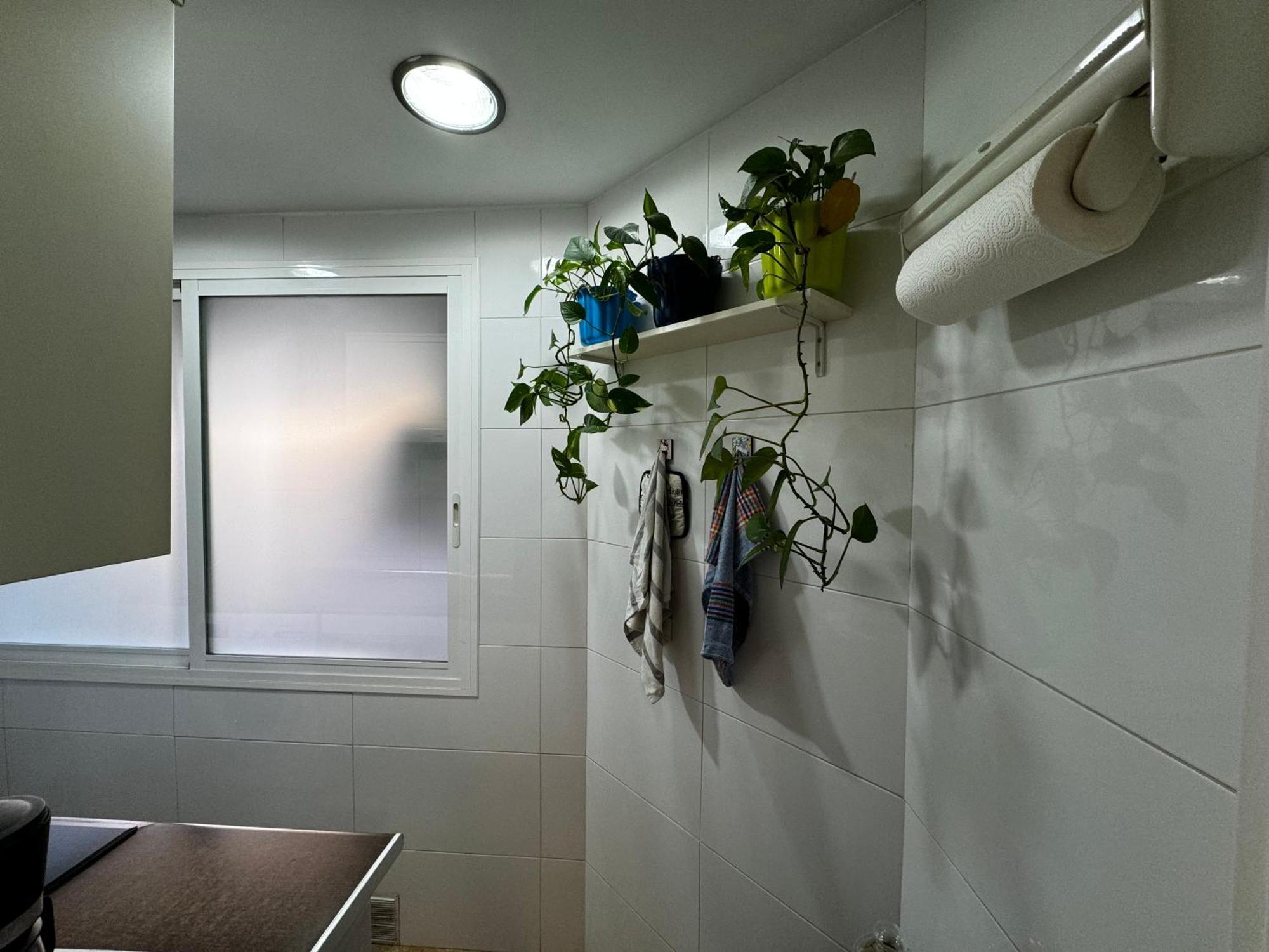 Ruzzafa Codrut Appartement